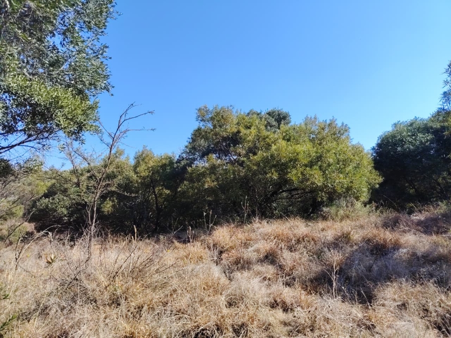 Commercial Property for Sale in Swartruggens North West